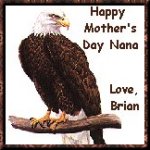 Just Beautiful Brian!